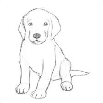 Quel est cet animal dessiné ?