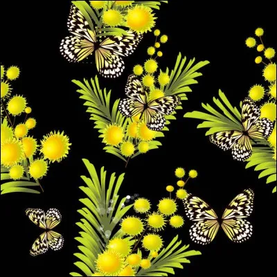 Popeye : je cherche le prénom d'un membre de sa famille :