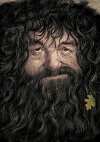 Top 7. Rubeus Hagrid : lequel de ses parents est mort en premier ?