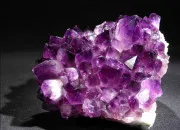 Quiz Le violet en culture g !