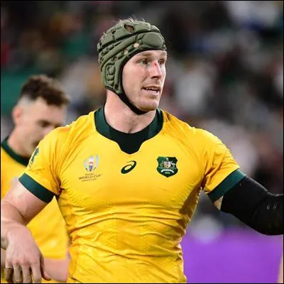 Quel marsupial, dont certaines espèces sont appelées pétrogales, sert demblème aux rugbymans australiens ?