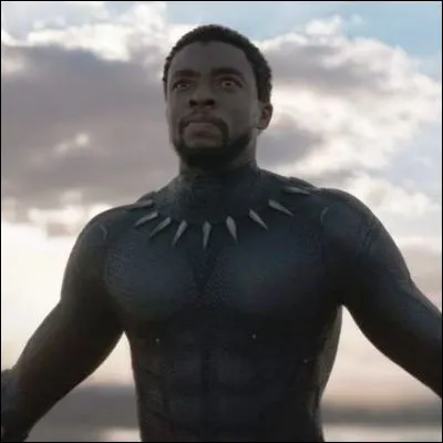 Quelle chanteuse interprète "Lift Me Up" sur la bande originale du film "Black Panther : Wakanda Forever" ?