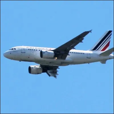 En langue française, quest-ce quun vol domestique ?