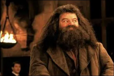 Quel est le nom de ce personnage ?