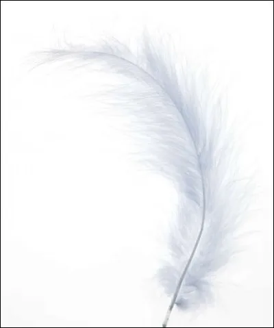 En générale, tu rigoles...