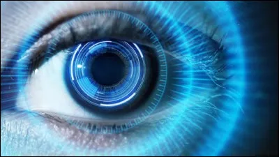 Comment appelle-t-on le tissu qui tapisse le globe oculaire ?