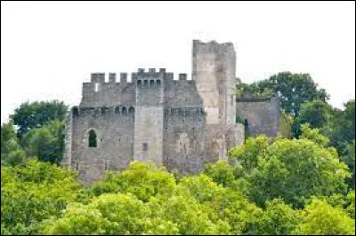 Je vous emmène en Nouvelle-Aquitaine à la découverte du château de Chalucet, à Saint-Jean-Ligoure. Ville de l'aire d'attraction Limougeaude, il se situe dans le département ...