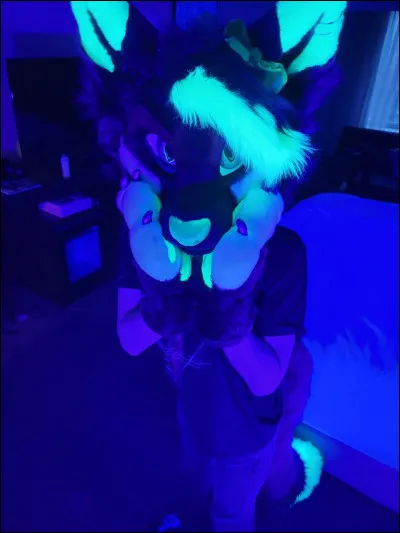 Les aimes-tu au point d'en faire des costumes ?