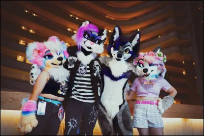 Irais-tu aux conventions prévues pour les furries ?