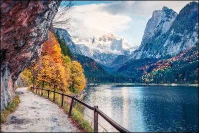 Ce _____, il _____ fort froid.