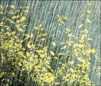 Donne la définition d'une précipitation.