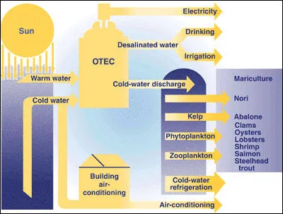 L'énergie maréthermique exploite la différence de température entre les eaux superficielles et les eaux profondes des océans. À qui attribue-t-on l'origine de cette idée ?