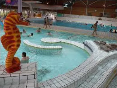 Avec qui vas-tu à la piscine ?