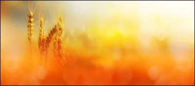 Quelle est la place de la couleur orange dans l'arc-en-ciel ?