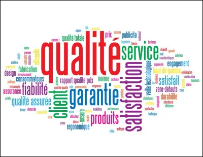Quelle qualité te définit le mieux ?