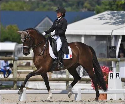 Enfin, quelles sont les aides (toujours au niveau des jambes) de l'épaule en-dedans ?
