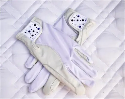 Les tenues de dressage ! Quelle affaire ! Les gants blancs sont obligatoires.