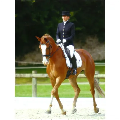 La veste doit être portée, peu importe la météo (canicules, températures glaciales, pluie...).