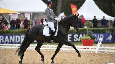 Passons au cheval. Le tapis blanc est indispensable.