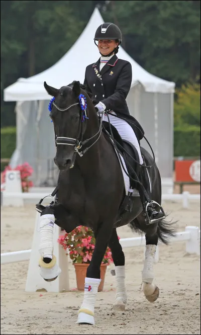 Il n'est pas autorisé de mettre des protections.