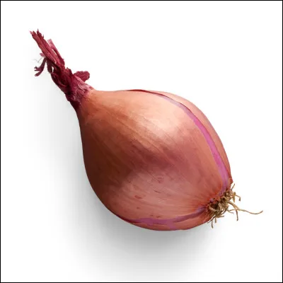 Quel est ce légume ?