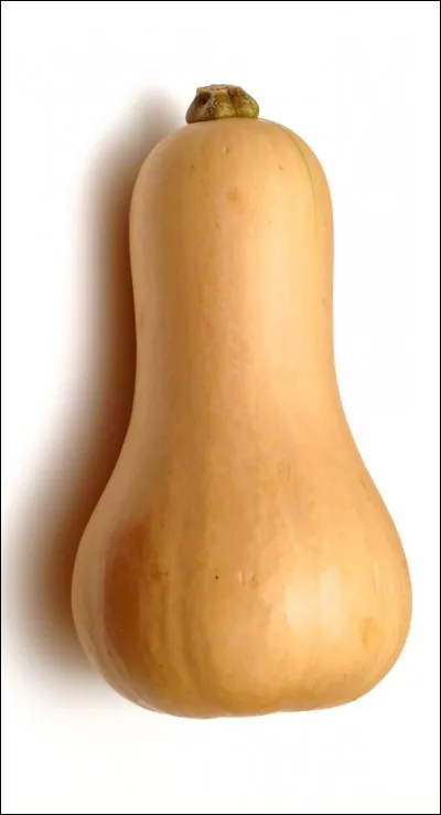 Quel est ce légume ?