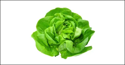 Quel est ce légume ?