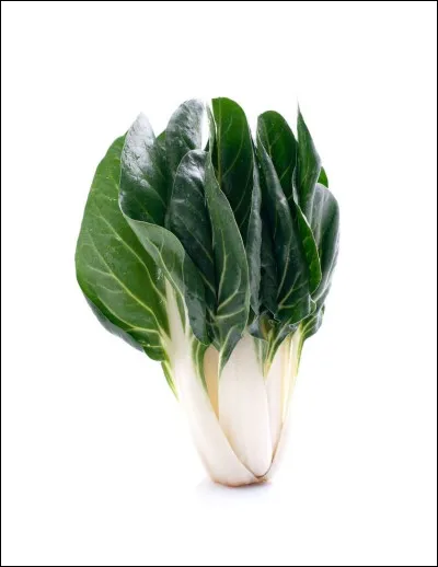 Quel est ce légume ?