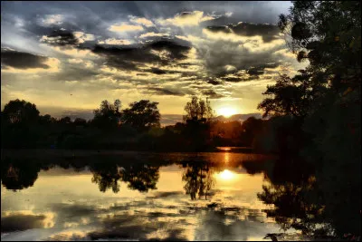 Quel acteur accompagne Jean Reno dans le long-métrage "Les Rivières pourpres" ?