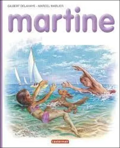 Quel est le titre exact de ce livre ?