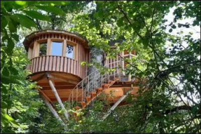 Vite, monte en haut !