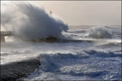 « Poussez-vous de là, vieille folle !
- Votre politesse m'épate... »