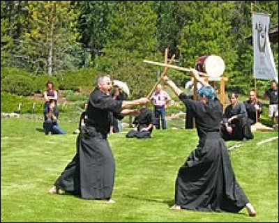 Au cinéma, comment s'appelle le genre de films japonais de bataille de sabre ?