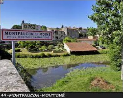 Ancienne commune Angevine, Montfaucon-sur-Moine se situe en région ...