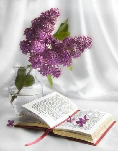 Chassez l'intrus incrusté dans les livres d'Albert Camus !