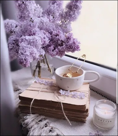 On termine en débusquant l'intrus chez Alphonse Daudet !