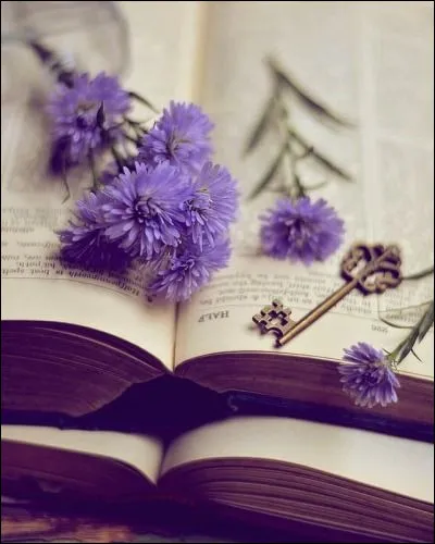 Débusquez l'intrus dans les romans de George Sand !