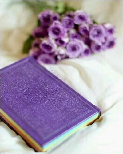 L'intrus vous fait un petit cadeau ! Il est planqué chez Balzac !