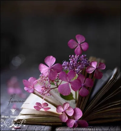 Délogez l'intrus chez Jean Giono !