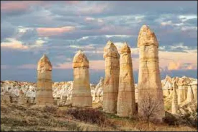 Quel est l'un des autres noms de ces ''pyramides'', colonnes naturelles faites de roches assez friables, généralement sédimentaires ou provenant de dépôts volcaniques ?