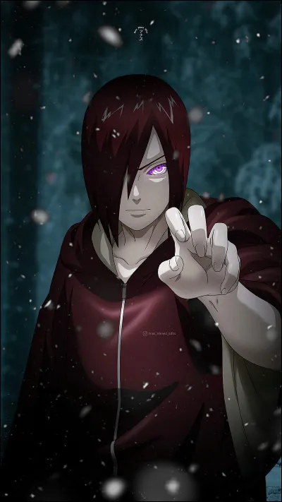 À qui appartenait le rinnegan que Nagato avait ?