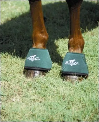 Comment s'appellent ces protections ?