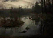 Test Vas-tu mourir ?