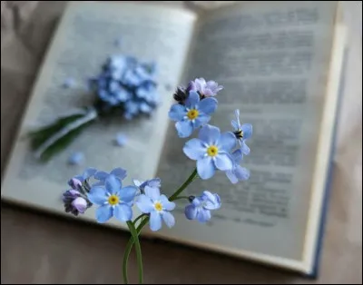 Reconnaîtrez-vous l'intrus dans les livres de Georges Bataille ?