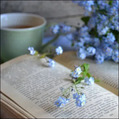 Faites disparaître l'intrus glissé dans les livres de Jules Verne !