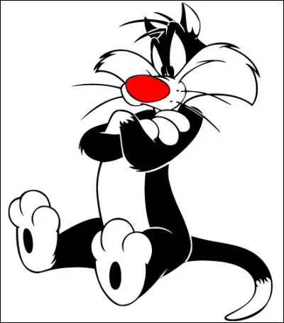 Quel est le nom de ce personnage de dessin animé, un chat noir et blanc, ennemi du canari Titi ?