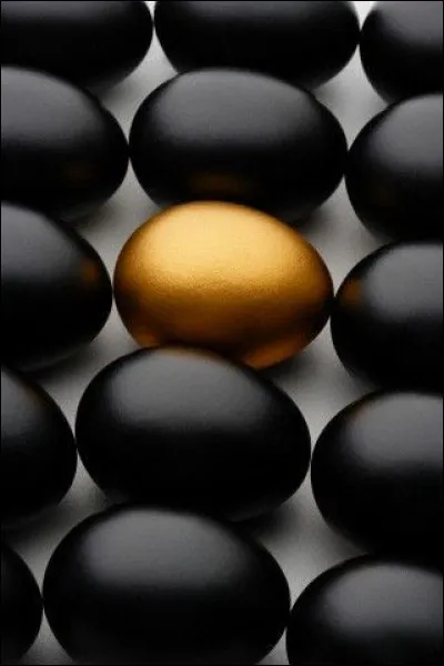 Laquelle de ses deux poules peut pondre les ufs les plus foncés, à savoir très bruns ?