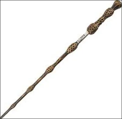 À qui appartient la baguette de sureau à la fin ?