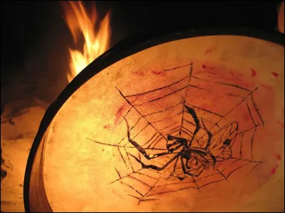 Dans le Coran, qui aurait eu la vie sauve grâce à une araignée ?