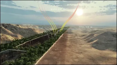 Quelles sont les caractéristiques de ''The Line City'' ?